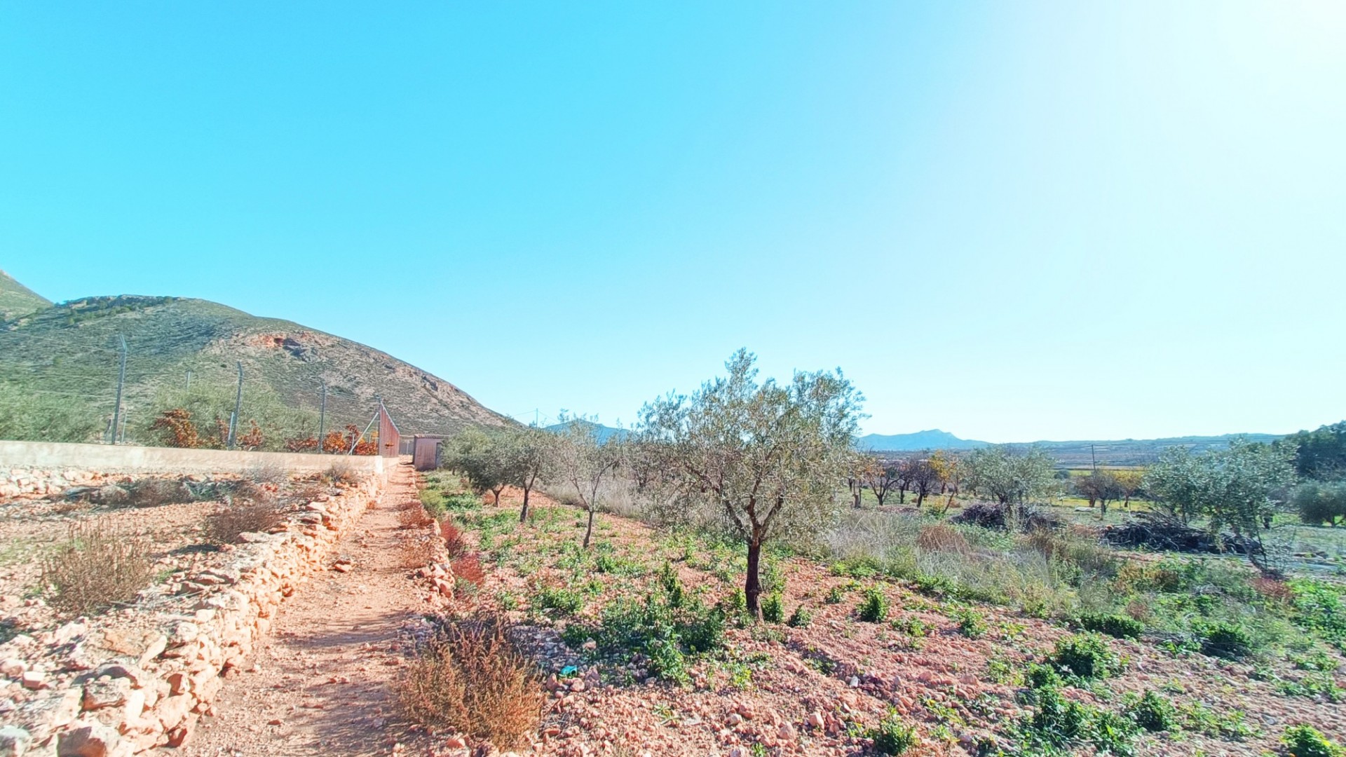 Venta - Casa de pueblo -
Barbarroja