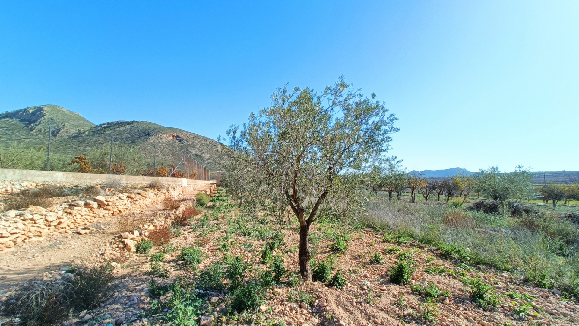 Venta - Casa de pueblo -
Barbarroja