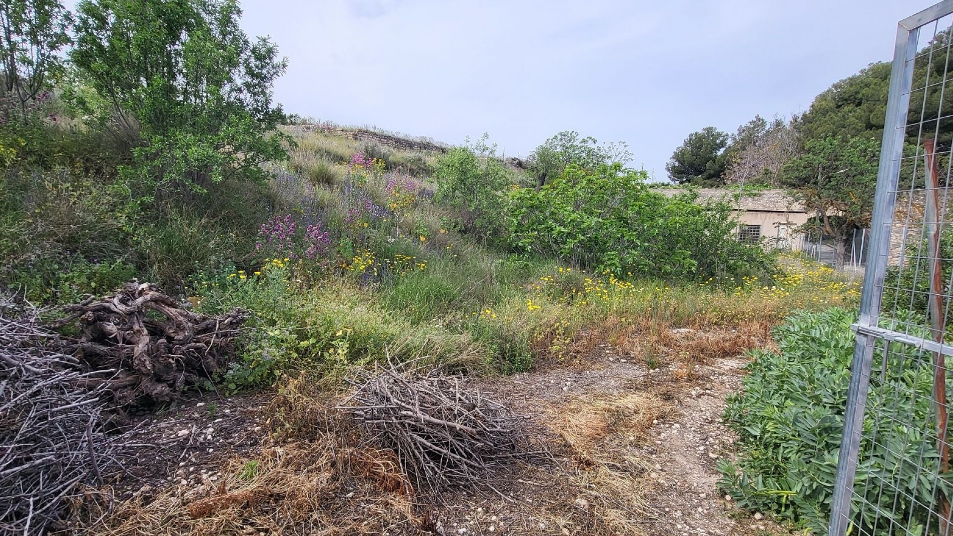 Venta - Casa de pueblo -
Casas del Señor