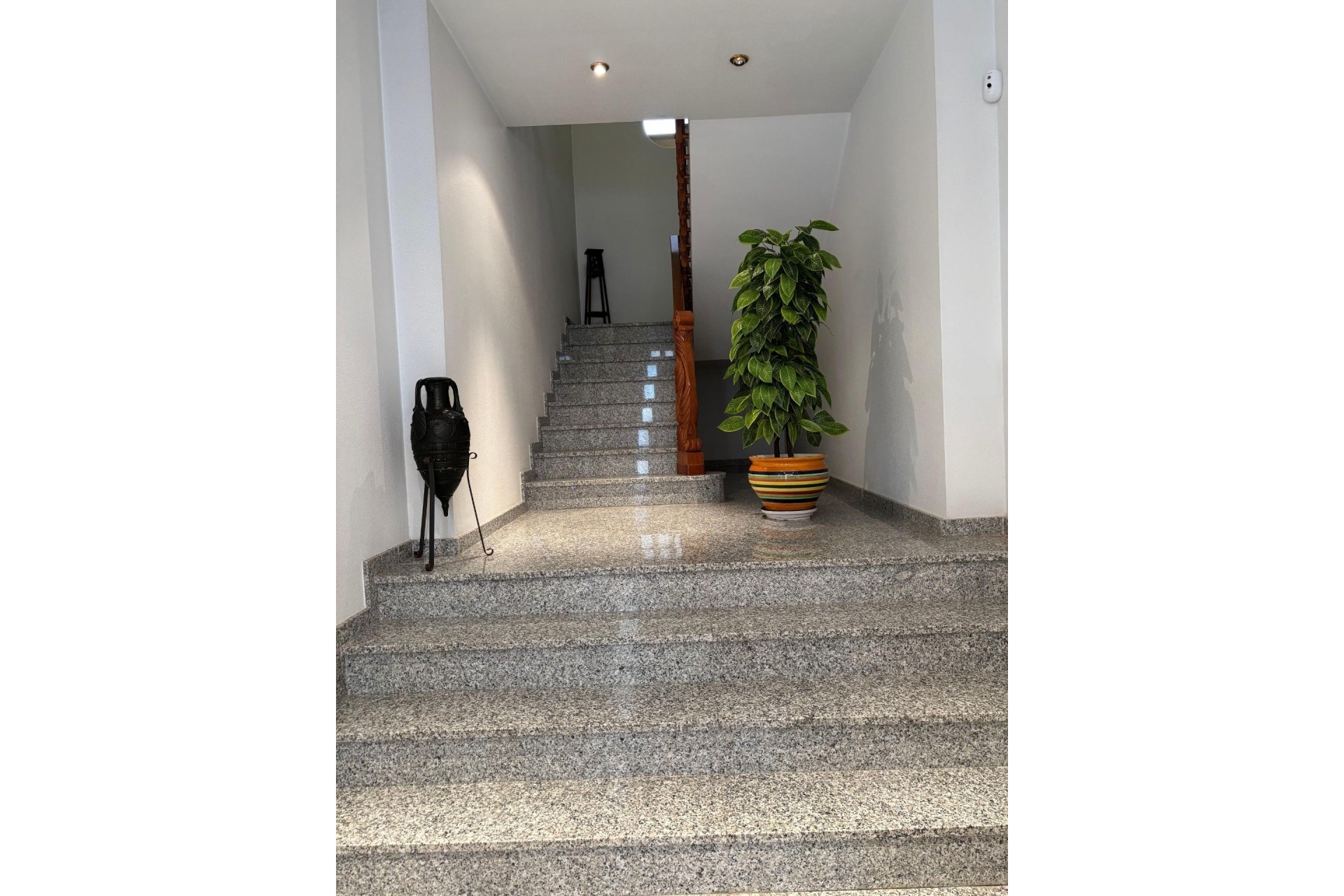 Venta - Casa de pueblo -
Formentera del Segura - Pueblo 5