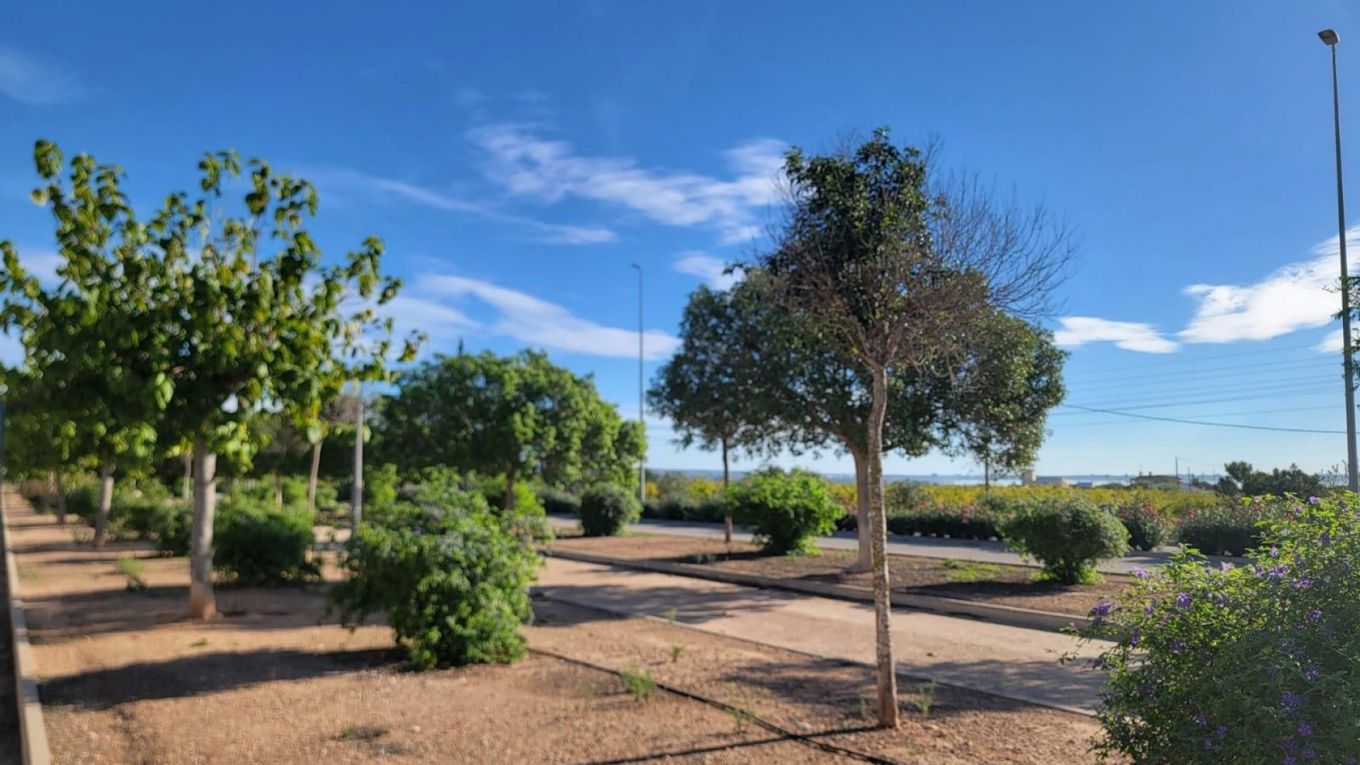 Venta - Casa de pueblo -
Los Montesinos - Los Montesinos - Urb. La Herrada