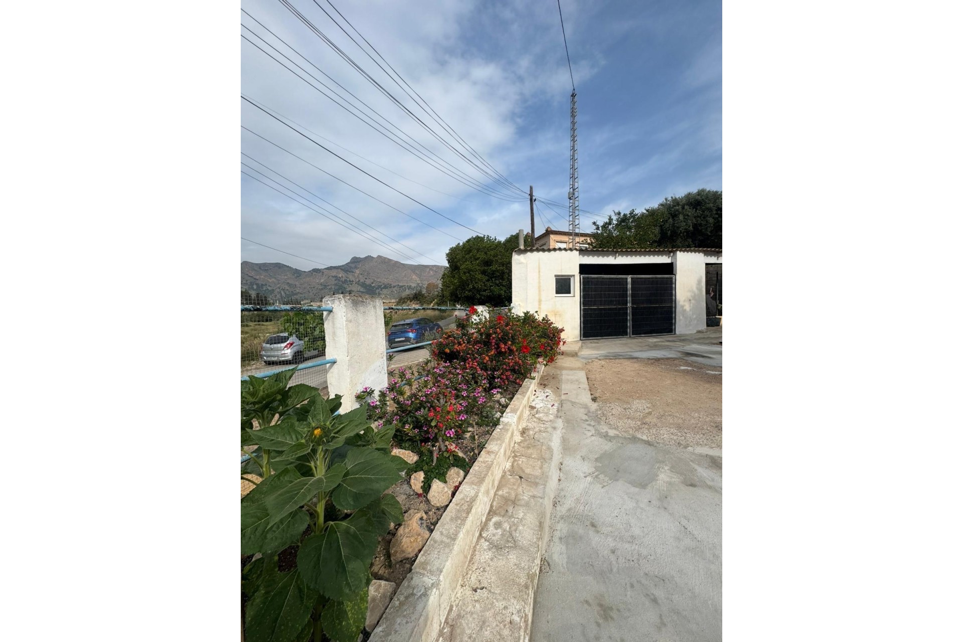 Venta - Casa de pueblo -
Orihuela - Orihuela Ciudad