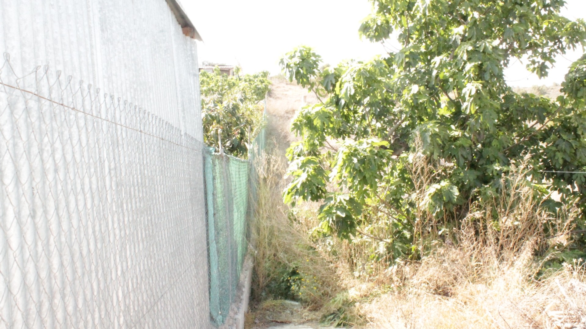 Venta - Casa de pueblo -
Peña de la Zafra de Arriba - Peña de la Zafra de Arriba Murcia