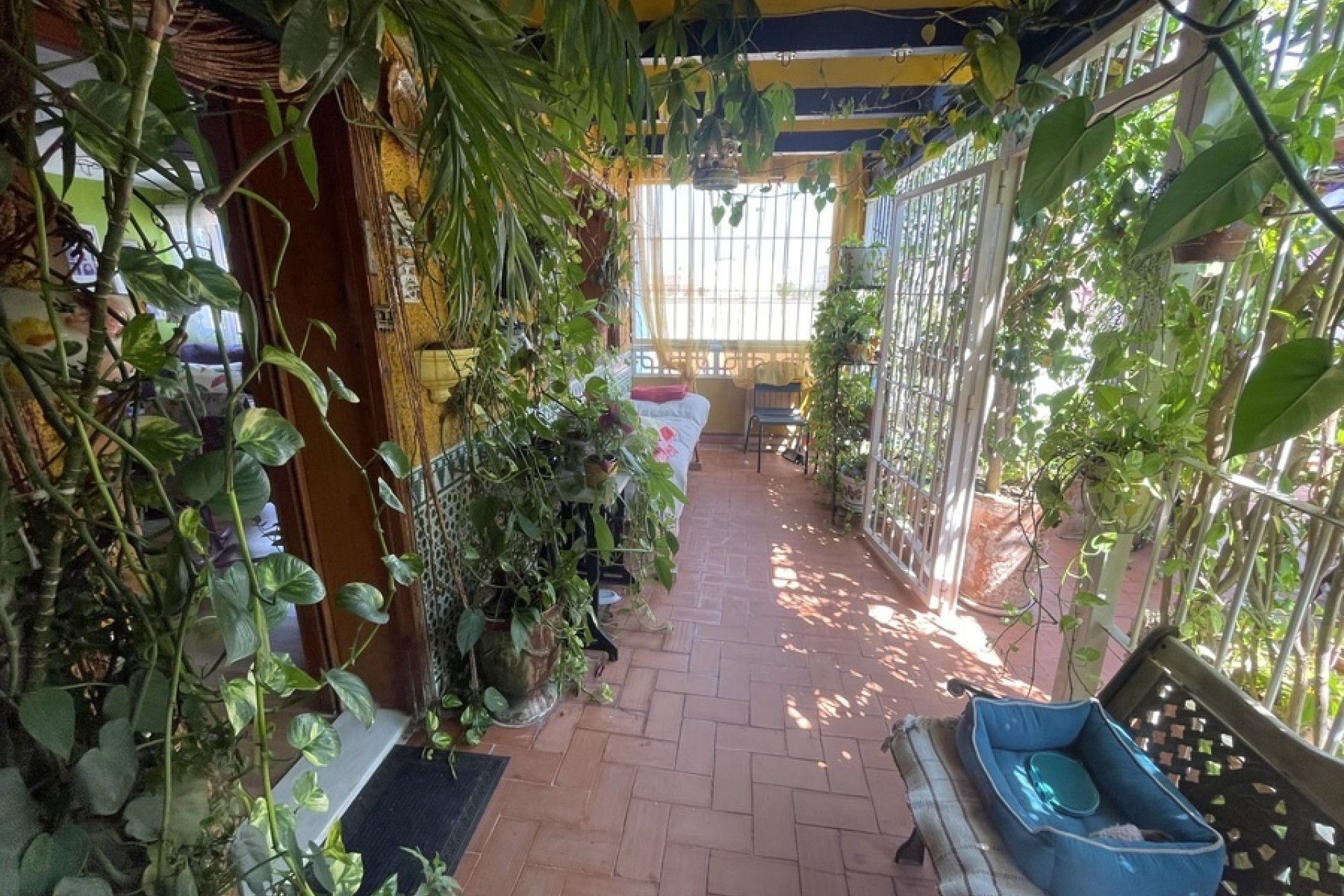 Venta - Casa de pueblo -
Rojales
