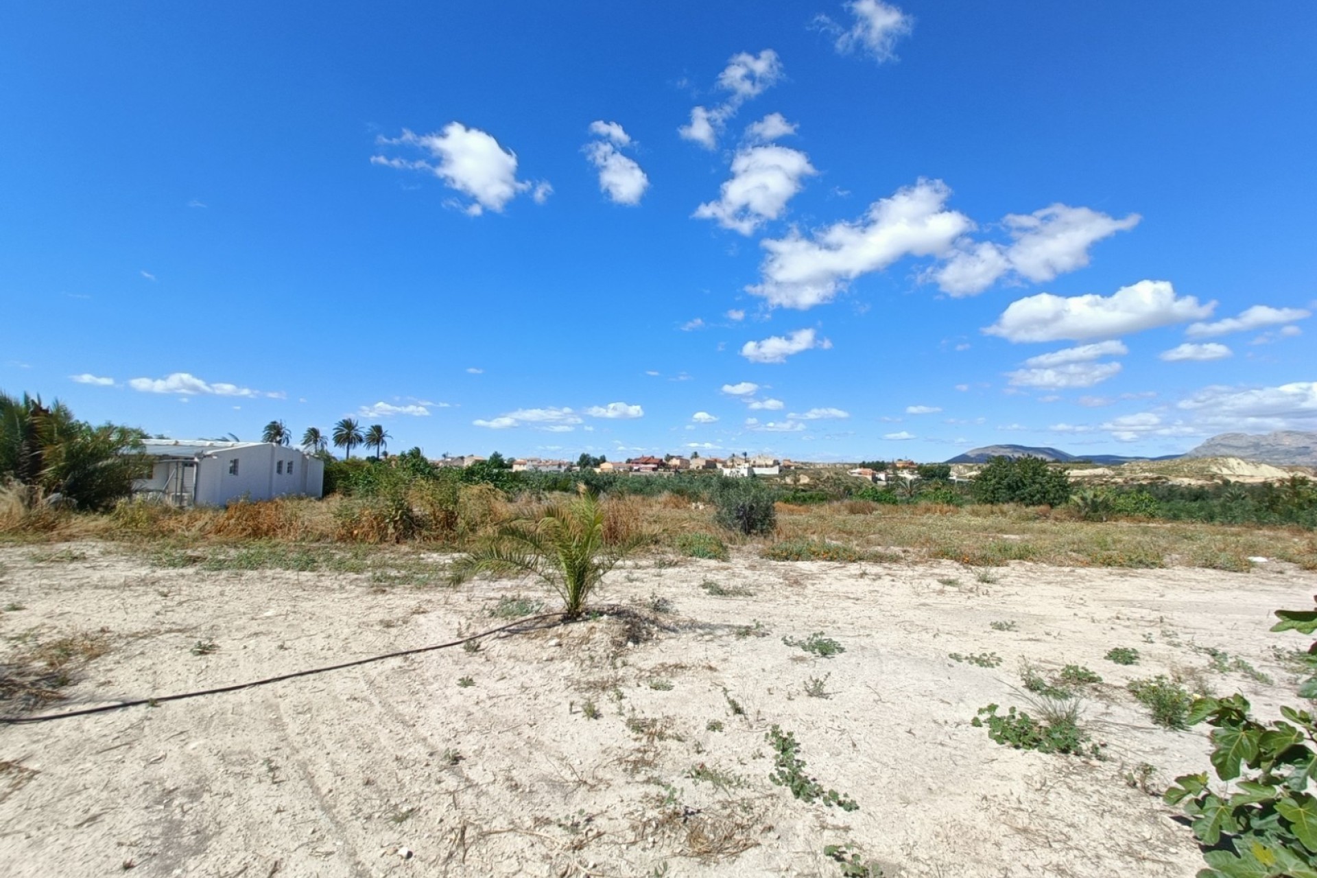 Venta - Chalet Independiente -
Abanilla