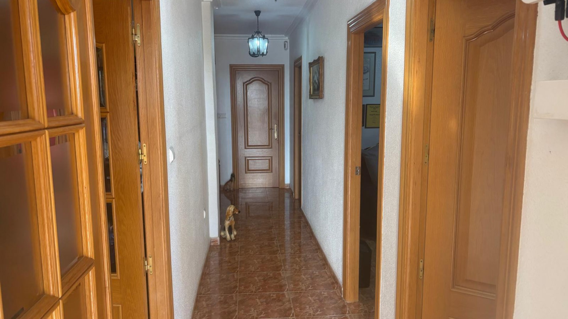 Venta - Chalet Independiente -
Albatera