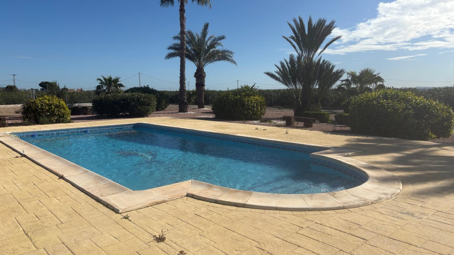 Venta - Chalet Independiente -
Albatera