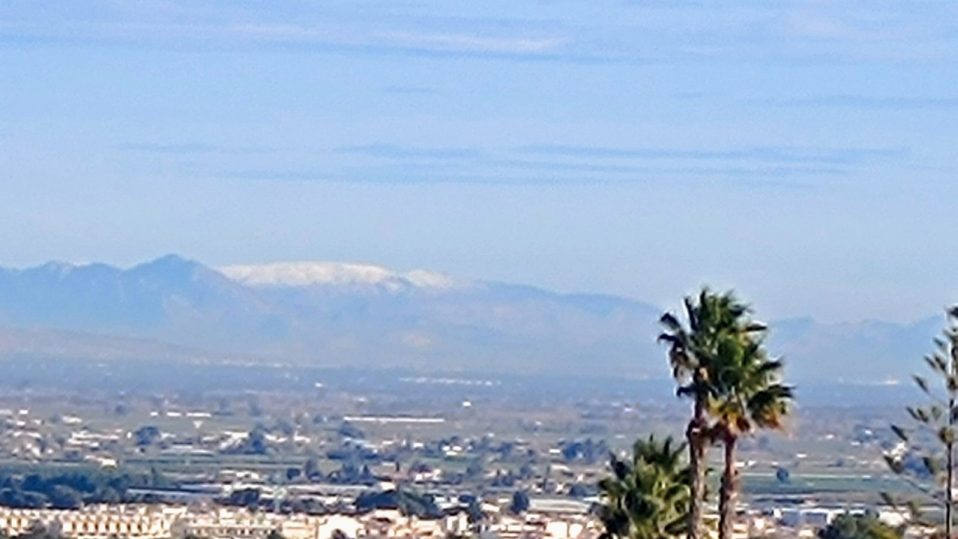 Venta - Chalet Independiente -
Algorfa - Lomas de Juliana