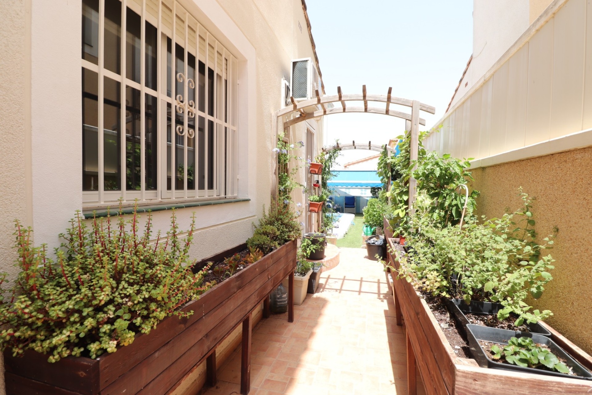 Venta - Chalet Independiente -
Algorfa - Montebello