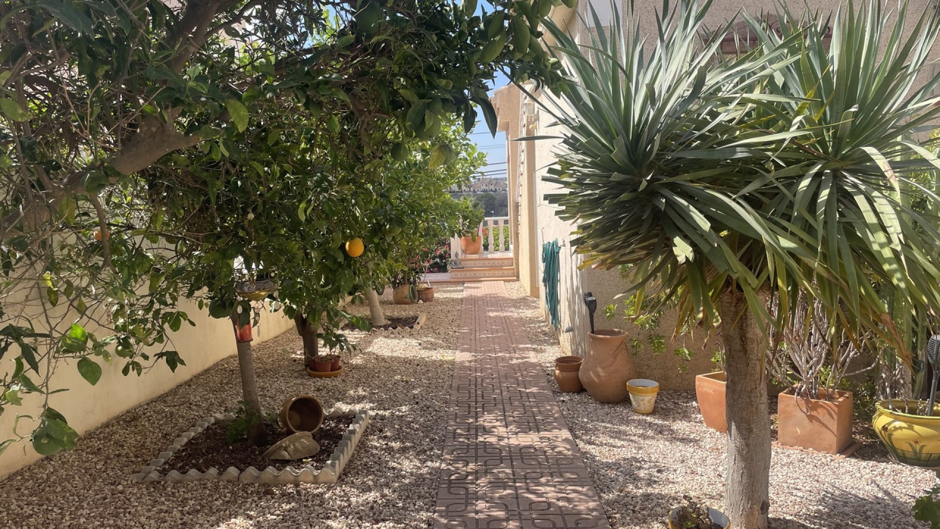 Venta - Chalet Independiente -
Algorfa