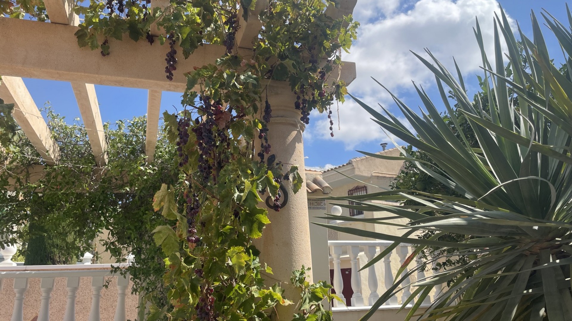 Venta - Chalet Independiente -
Algorfa