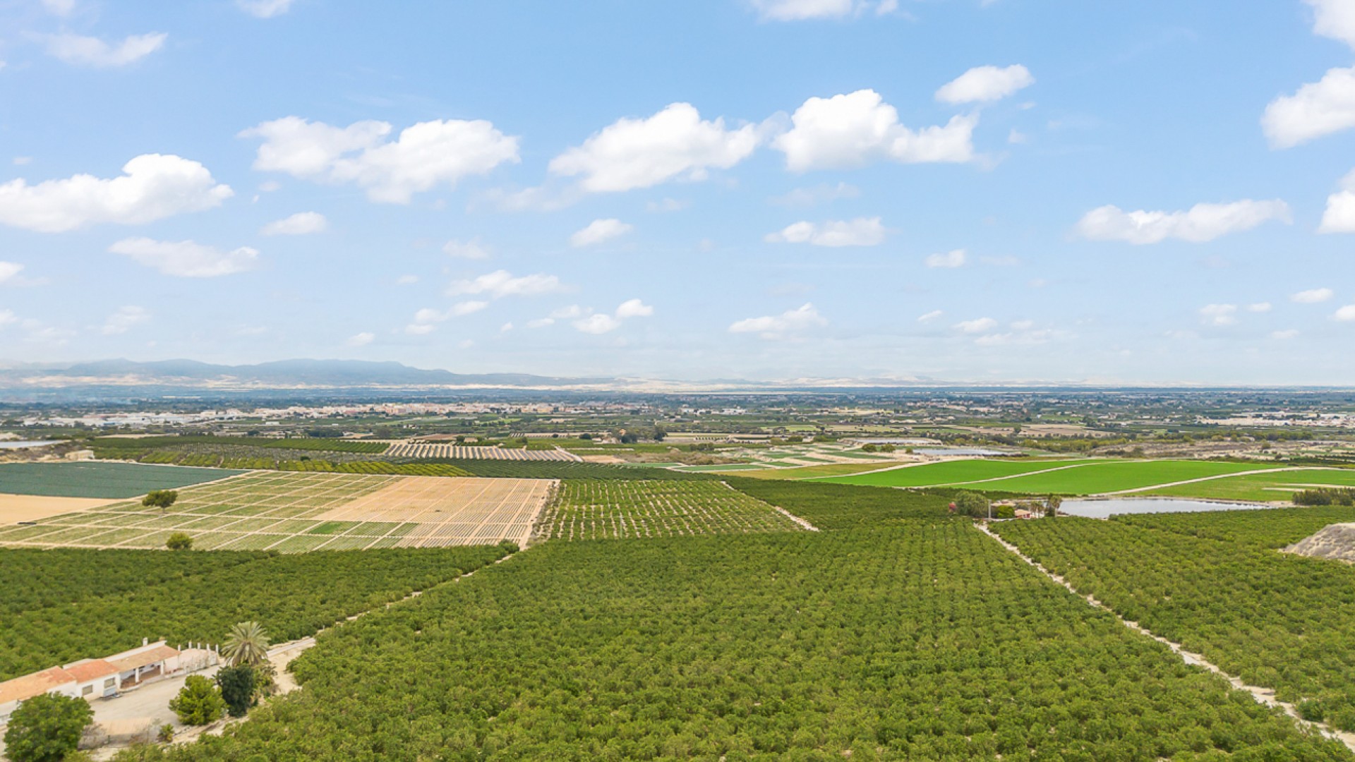 Venta - Chalet Independiente -
Algorfa