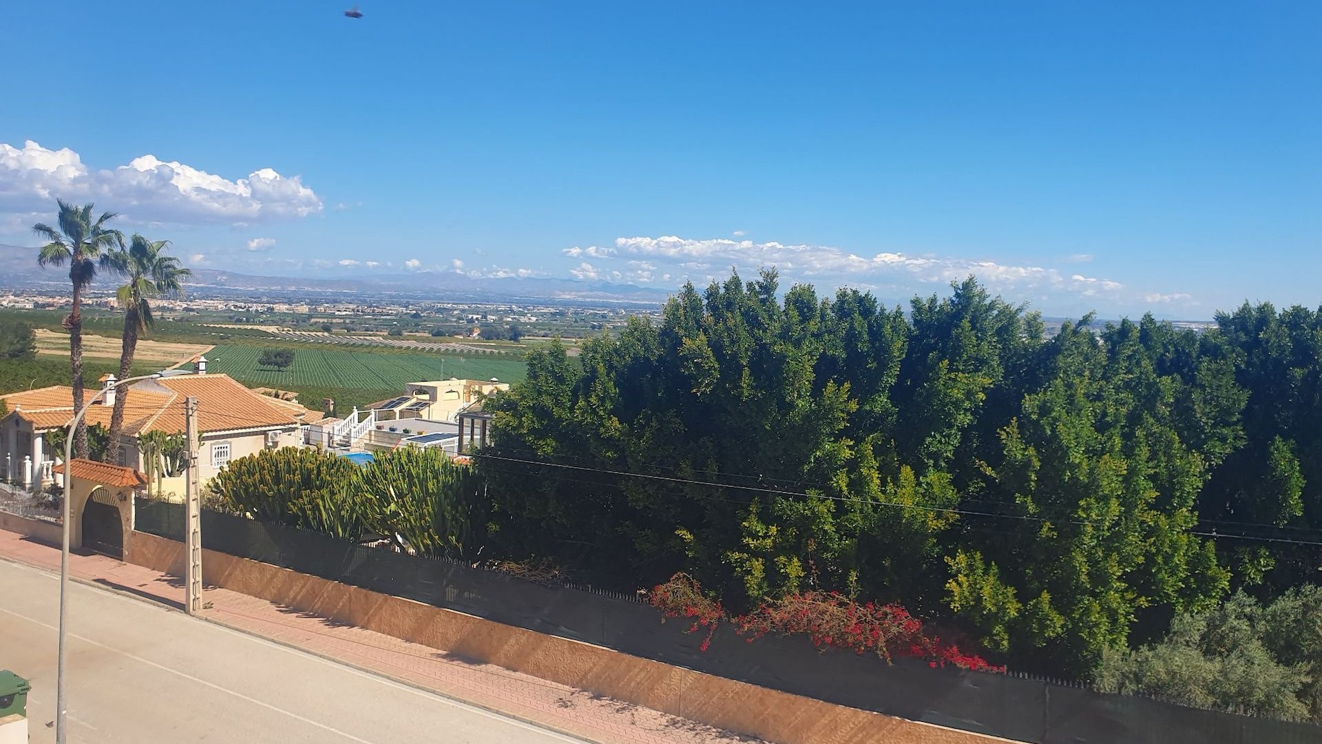 Venta - Chalet Independiente -
Algorfa