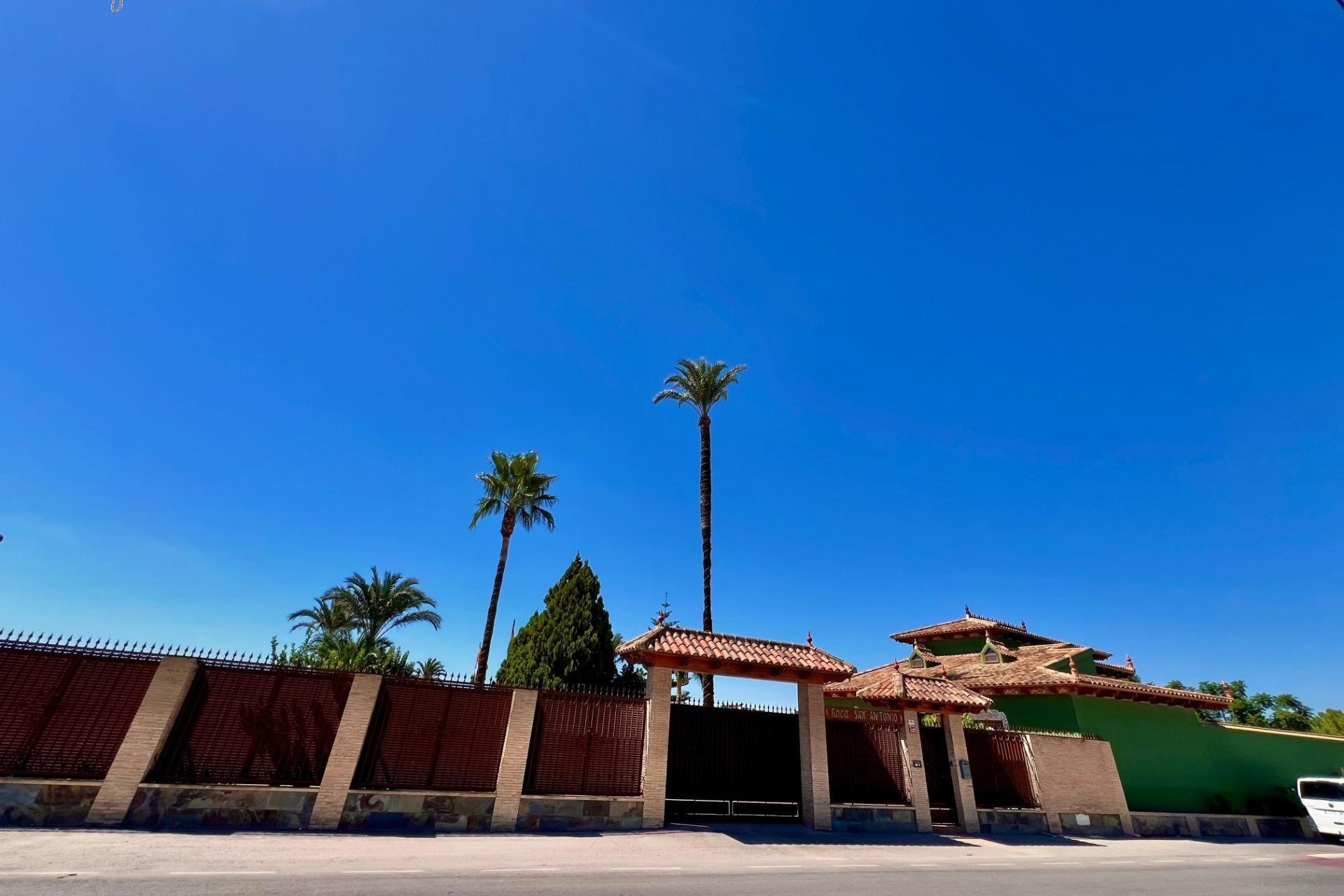 Venta - Chalet Independiente -
Almoradí - Comunidad Valenciana