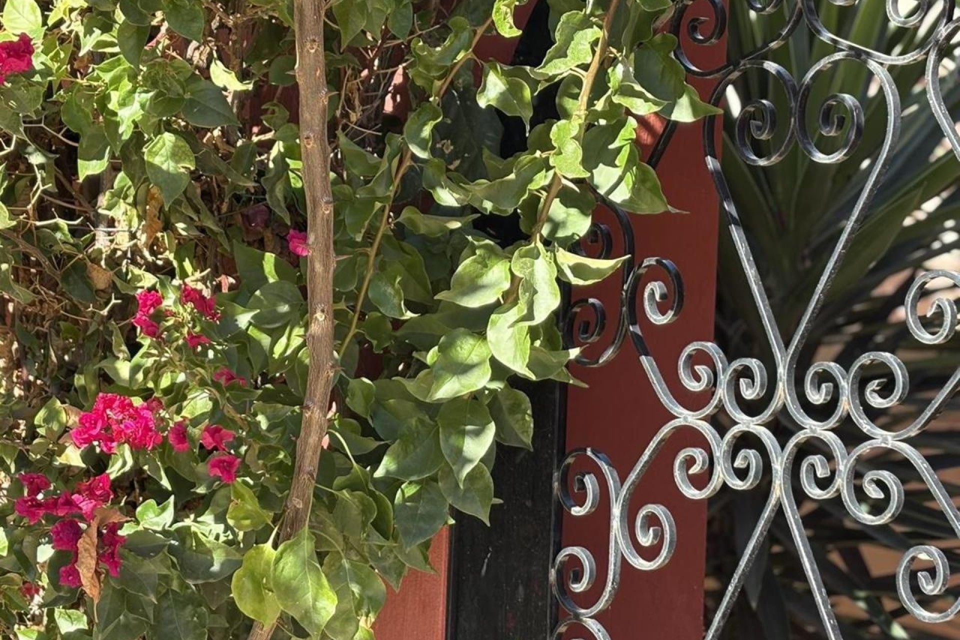 Venta - Chalet Independiente -
Altaona Golf & Country Village - Altaona Golf and Country Village