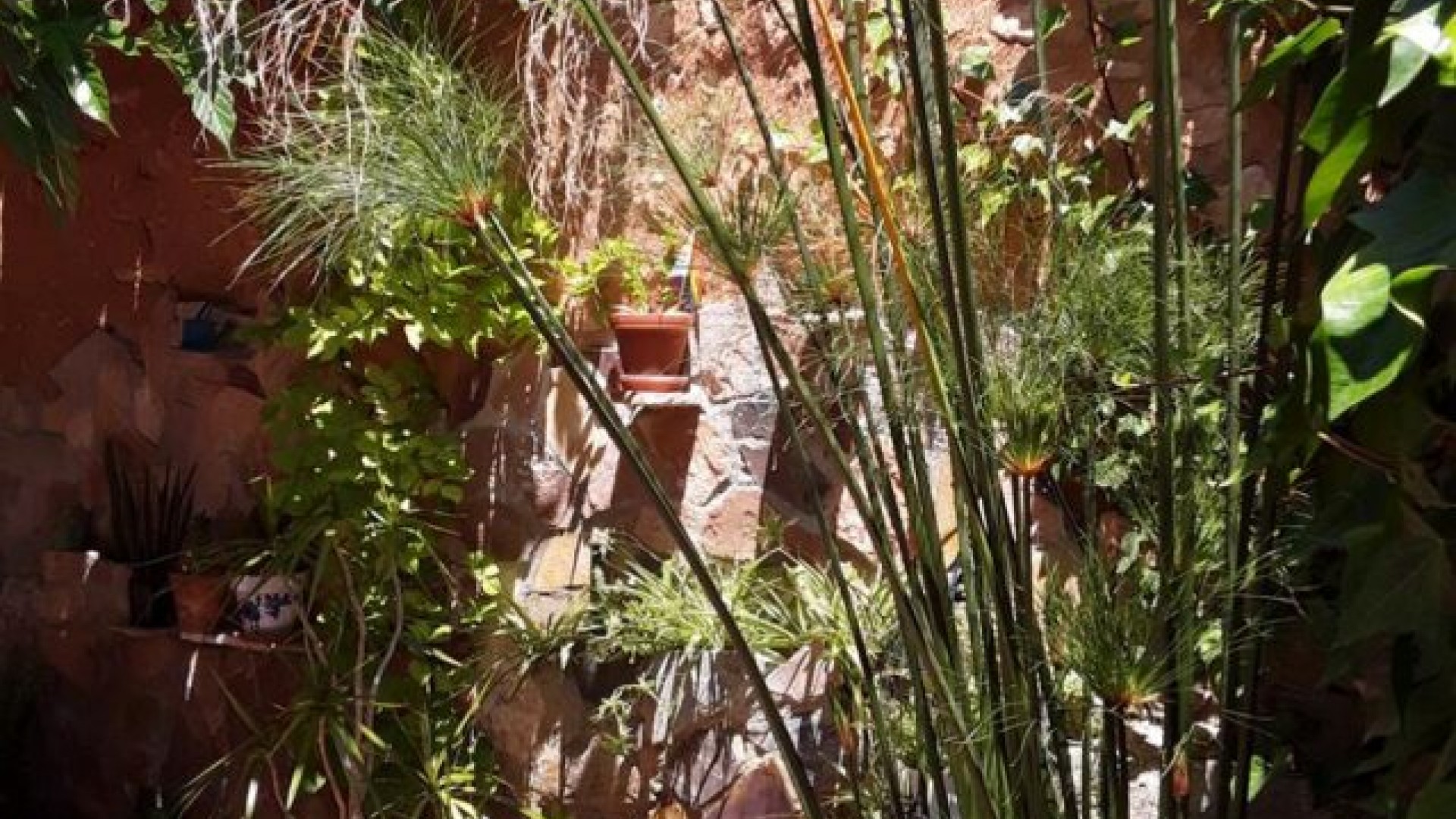 Venta - Chalet Independiente -
Barbarroja