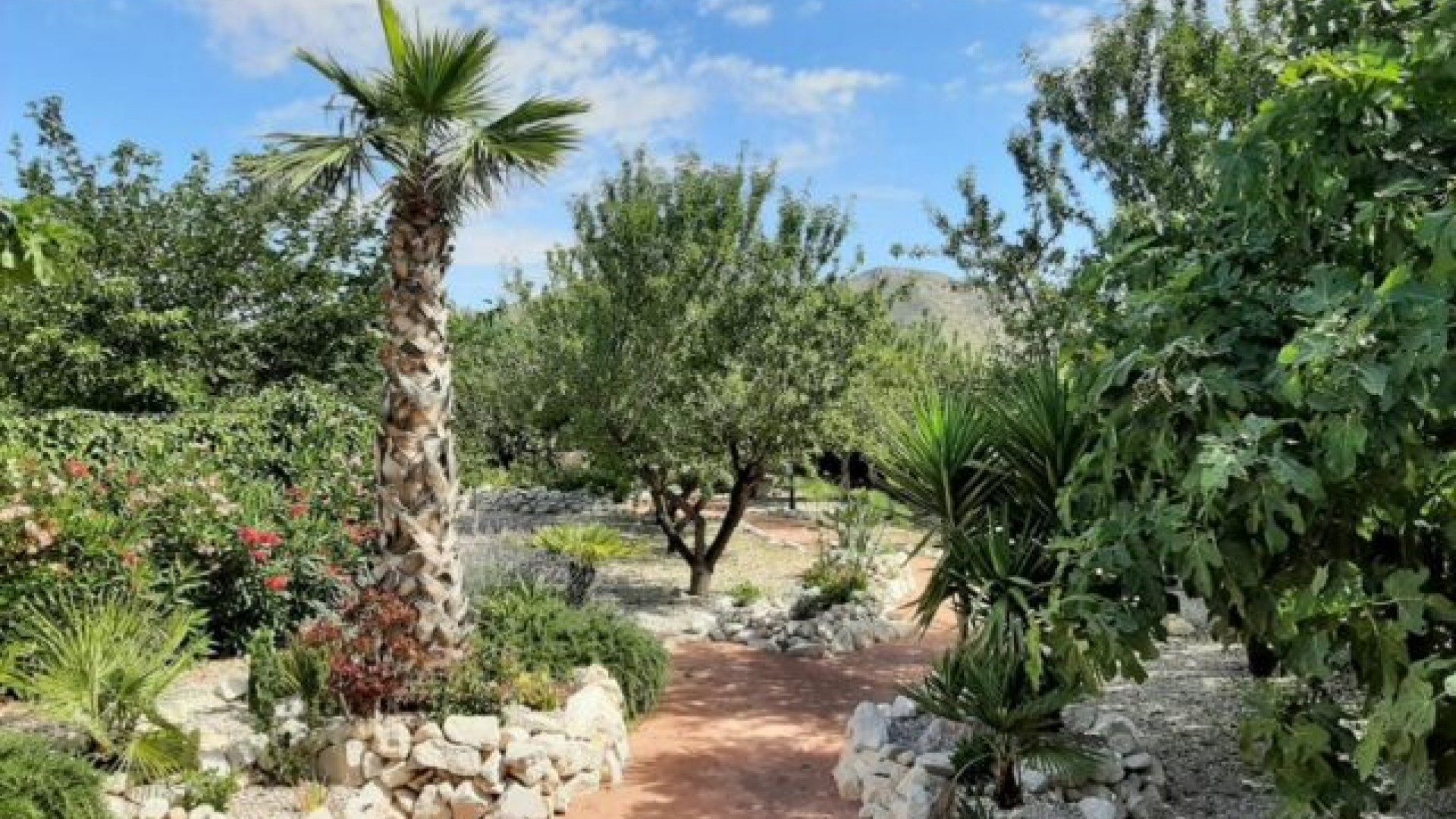 Venta - Chalet Independiente -
Barbarroja