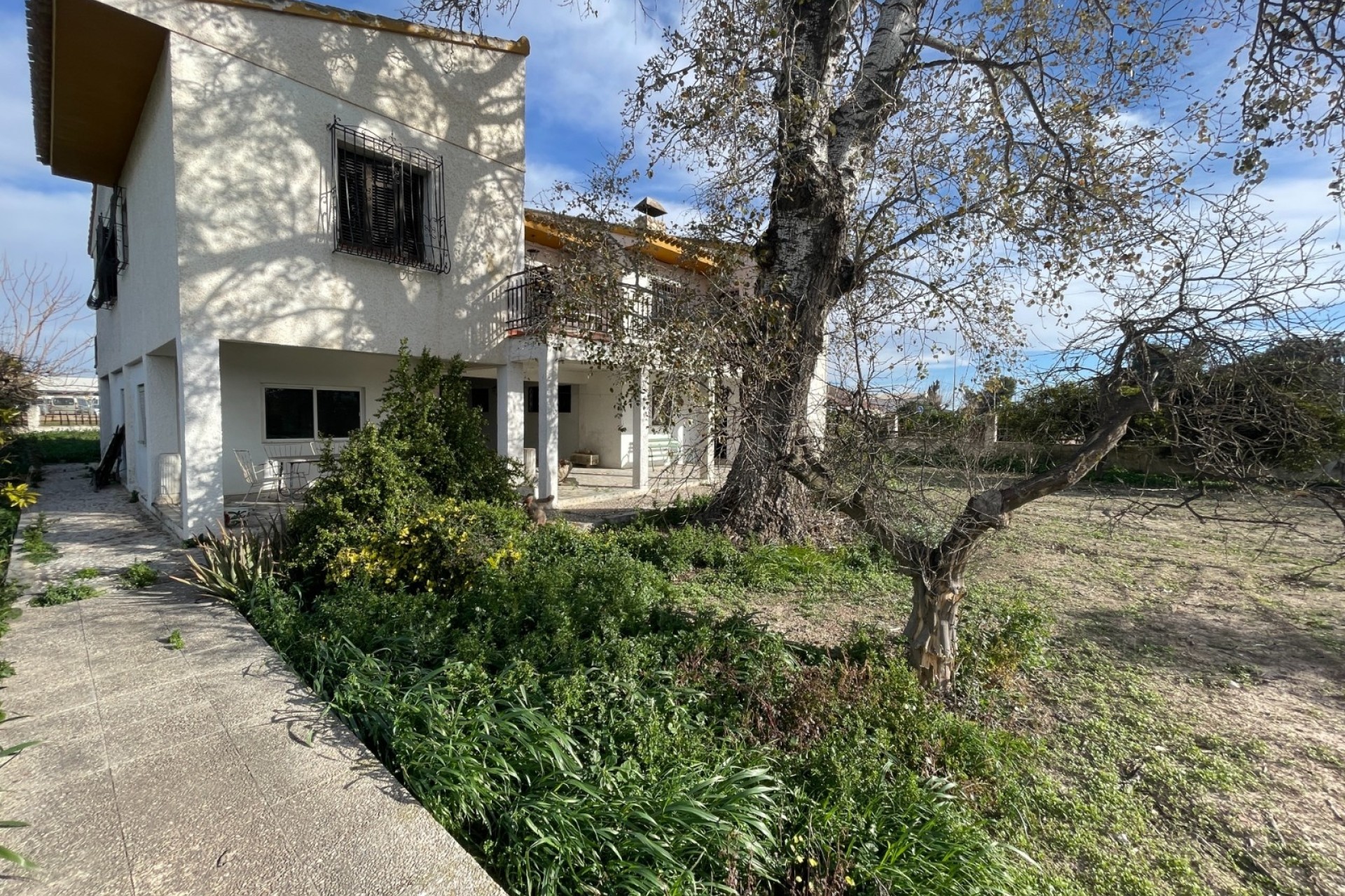 Venta - Chalet Independiente -
Benejúzar - Comunidad Valenciana