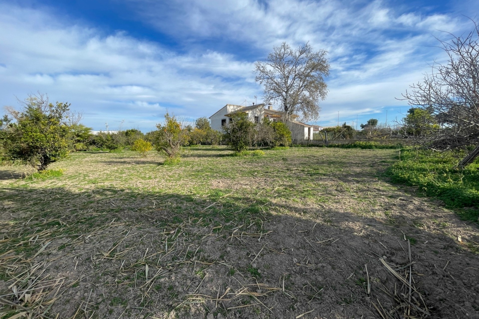 Venta - Chalet Independiente -
Benejúzar - Comunidad Valenciana