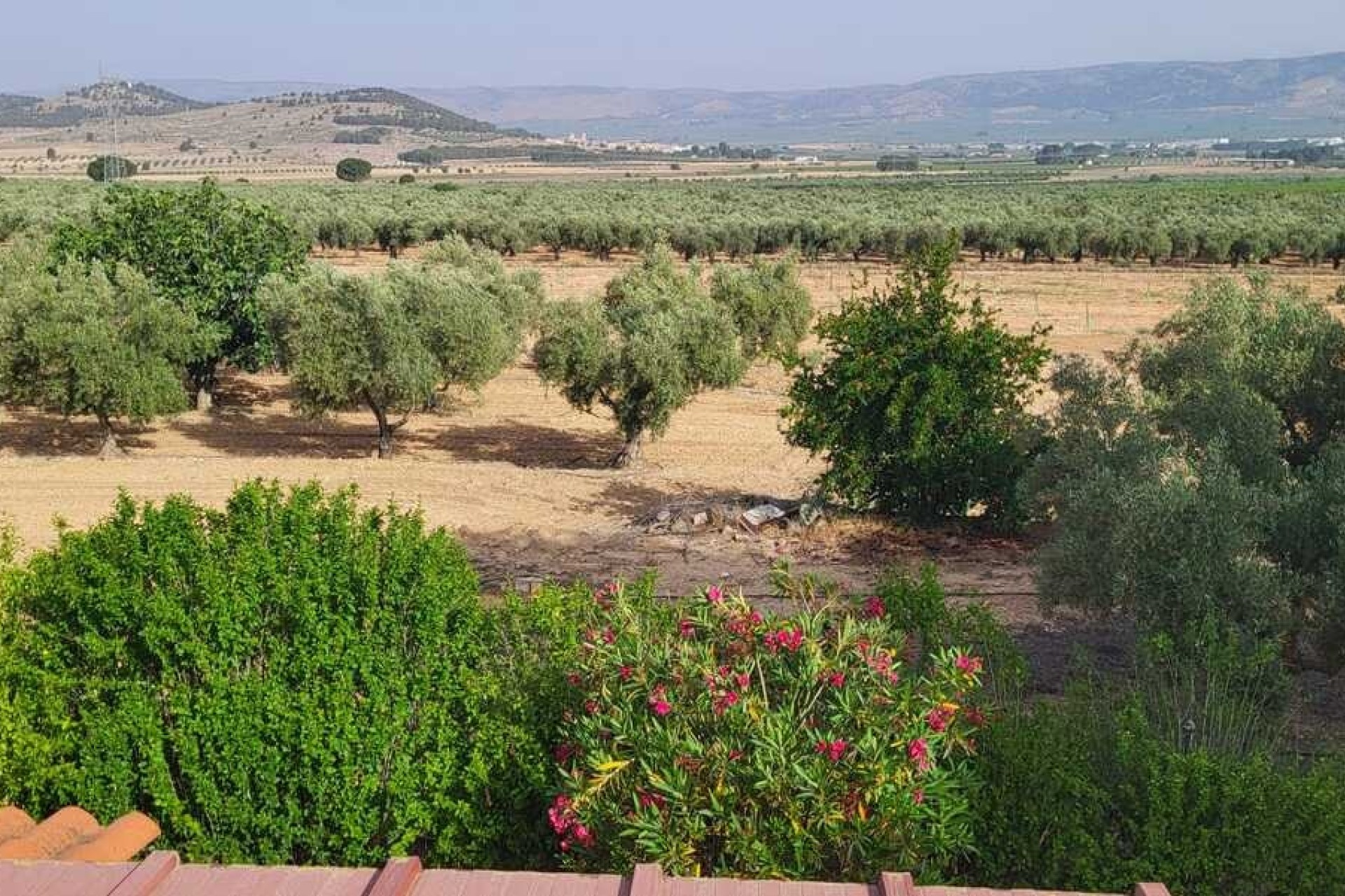 Venta - Chalet Independiente -
Biar - Costa Blanca