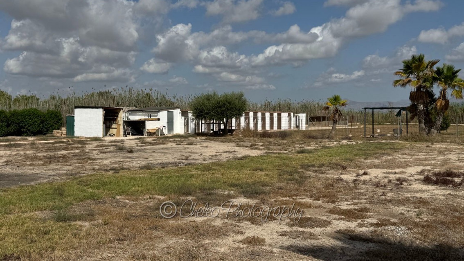 Venta - Chalet Independiente -
Catral - CatralAlicanteValenciaSpain