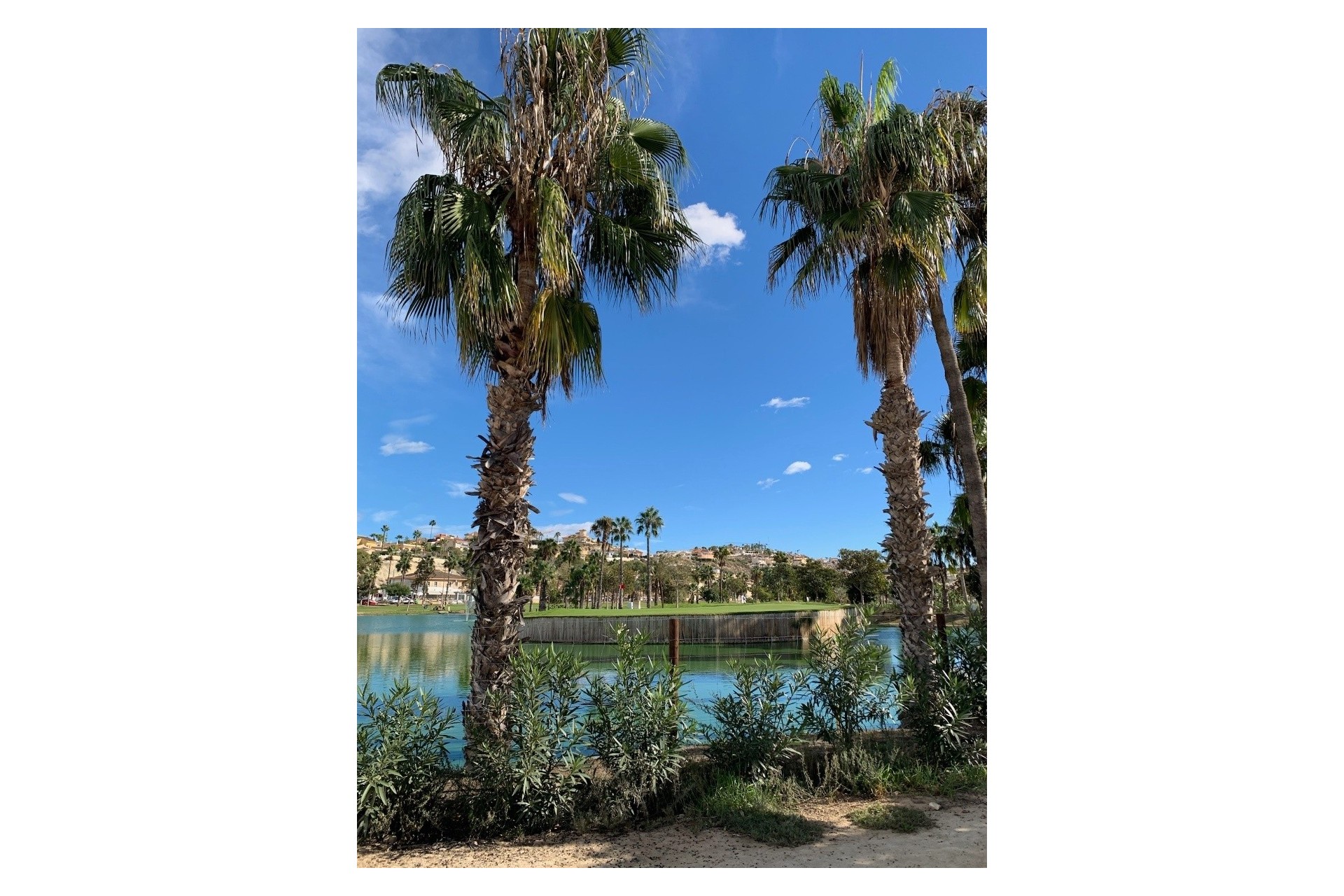Venta - Chalet Independiente -
Ciudad Quesada - Rojales - Ciudad Quesada