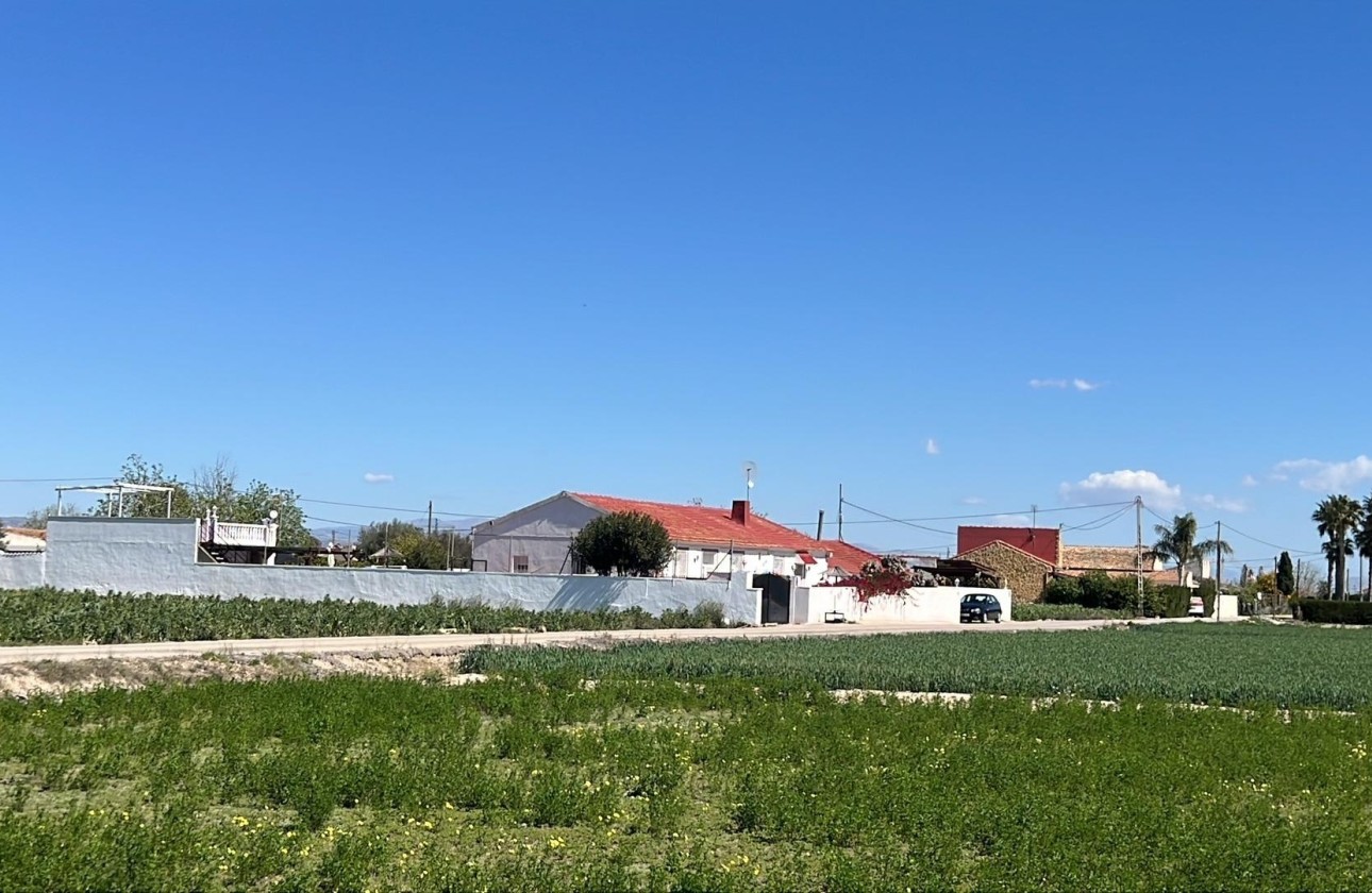 Venta - Chalet Independiente -
Dolores - Comunidad Valenciana
