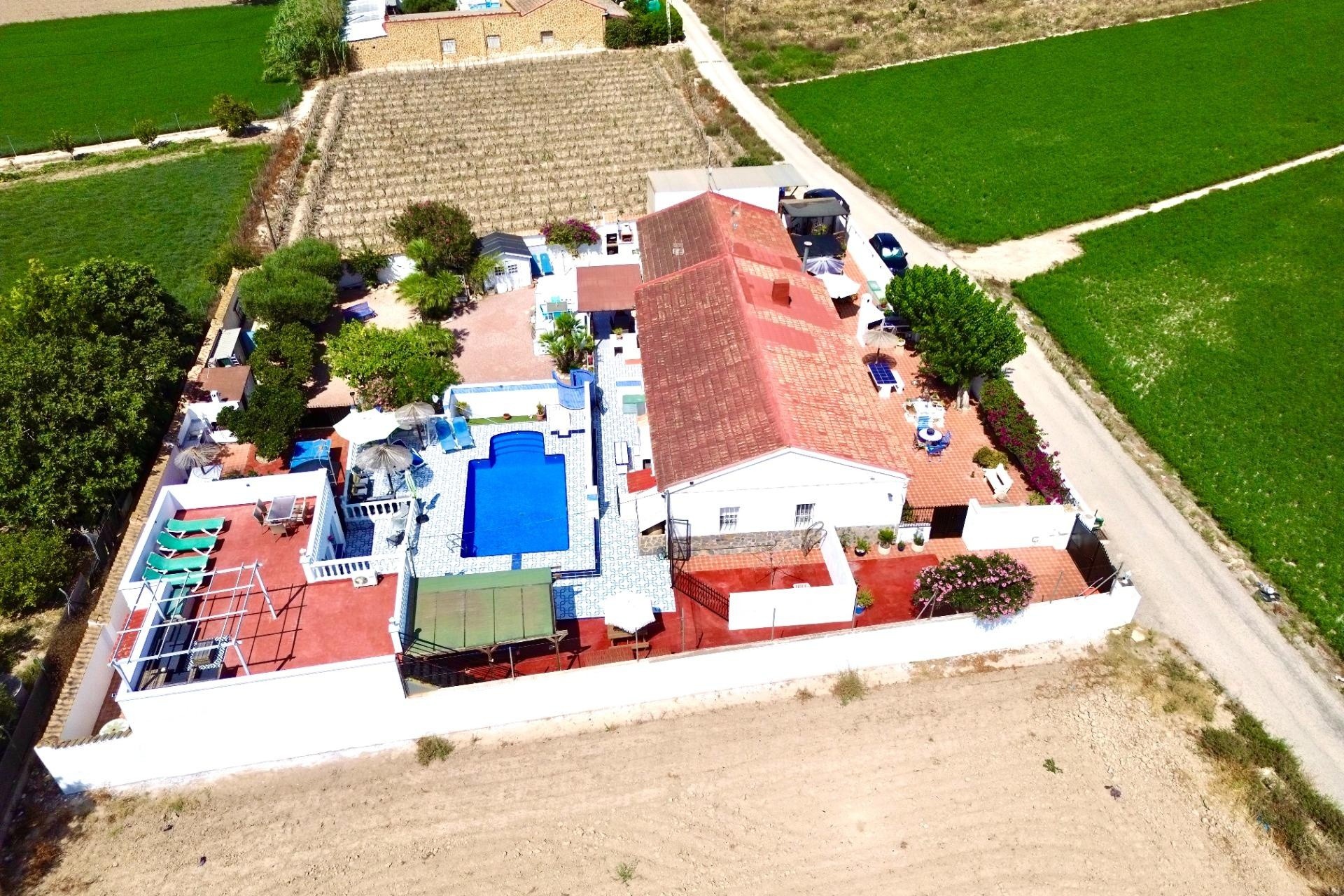 Venta - Chalet Independiente -
Dolores - Comunidad Valenciana