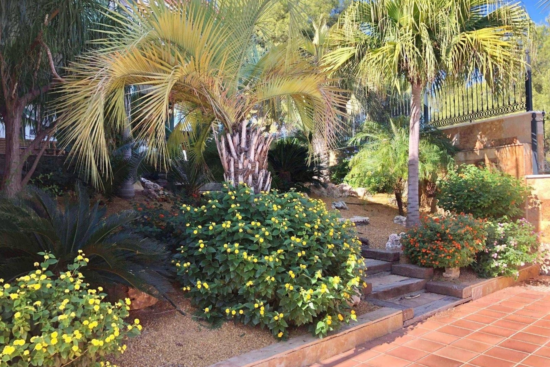Venta - Chalet Independiente -
El Palmar