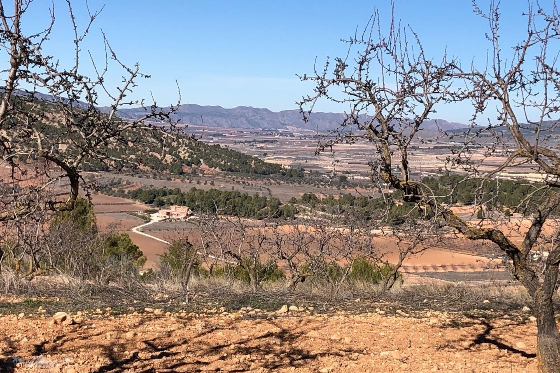 Venta - Chalet Independiente -
Encebras - Encebras Alicante