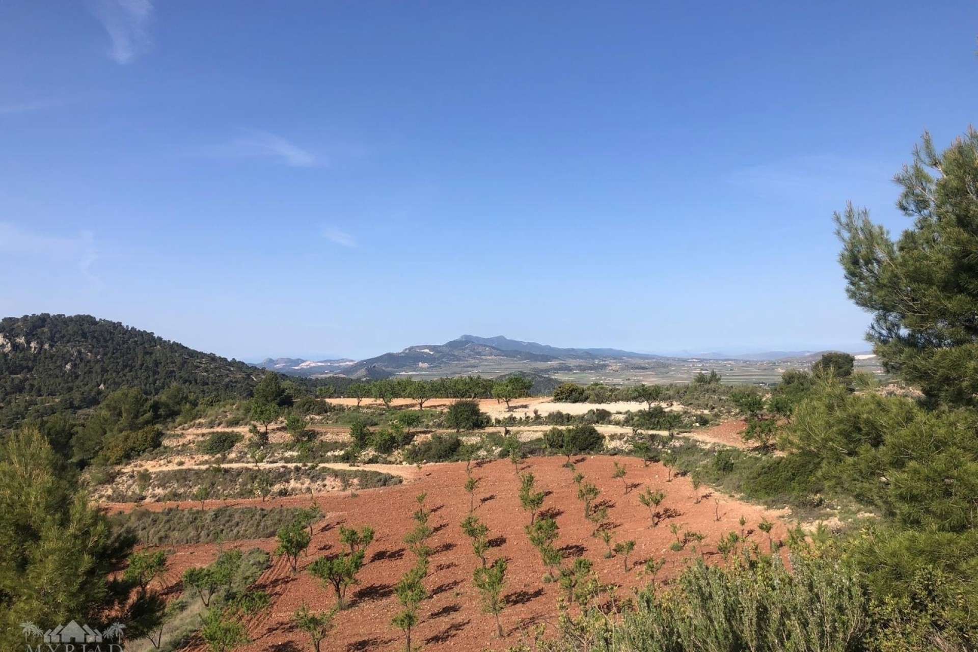 Venta - Chalet Independiente -
Encebras - Encebras Alicante