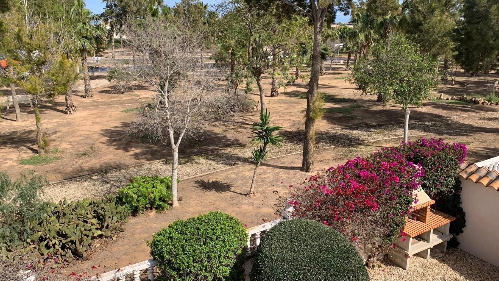 Venta - Chalet Independiente -
Guardamar del Segura - Guardamar - El Raso