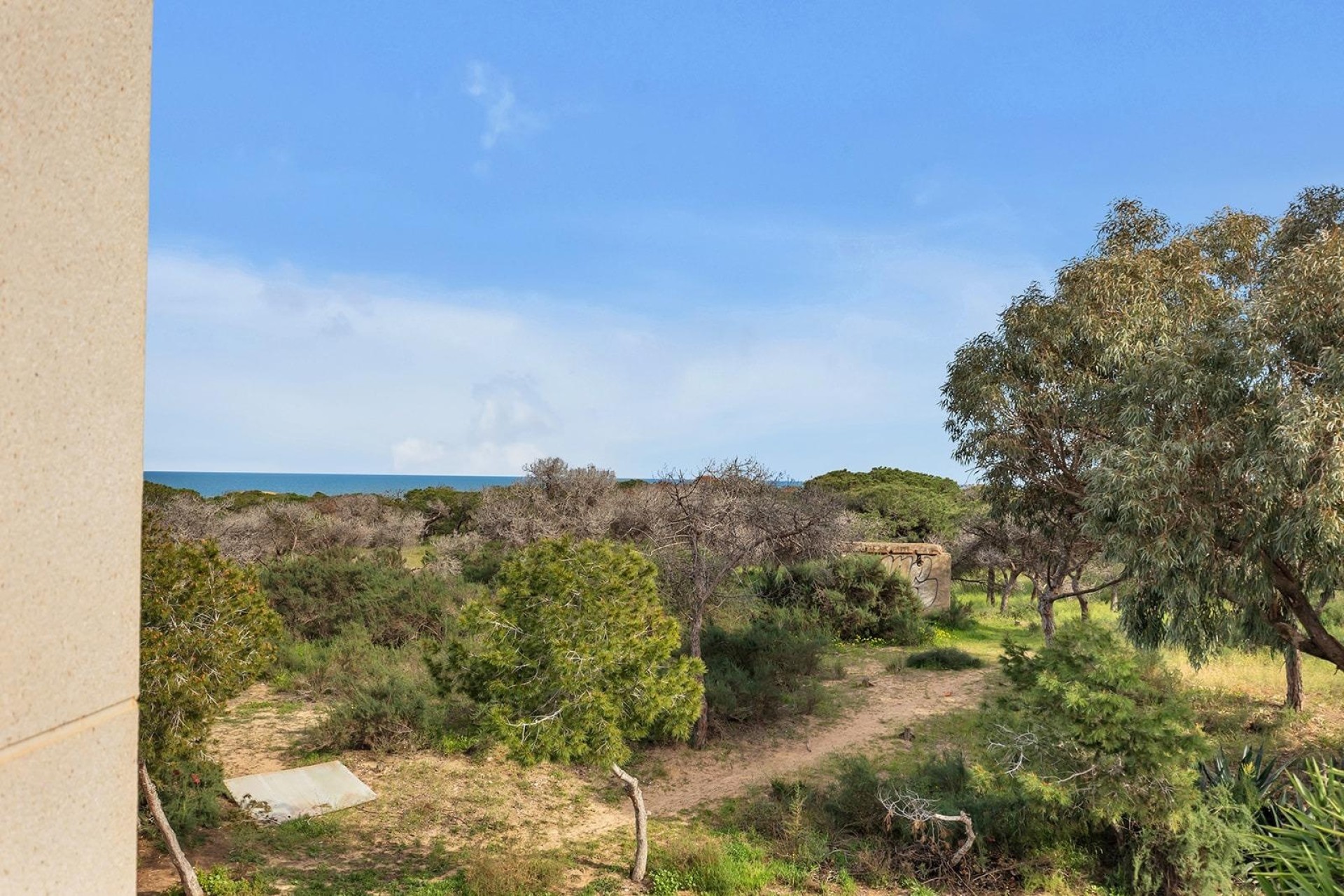 Venta - Chalet Independiente -
Guardamar del Segura - Urbanizaciones