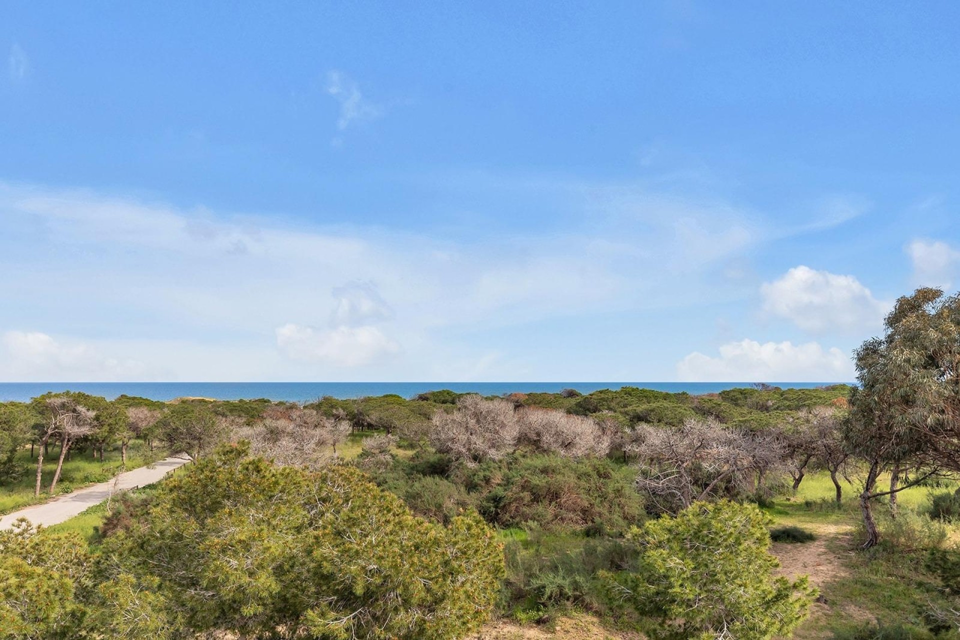 Venta - Chalet Independiente -
Guardamar del Segura - Urbanizaciones