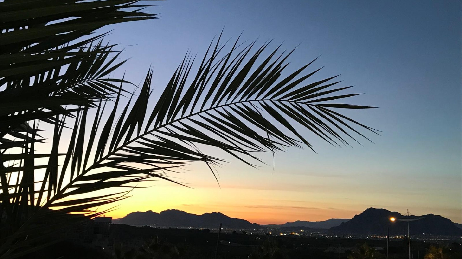 Venta - Chalet Independiente -
La Finca Golf - La Finca Golf and Spa Resort