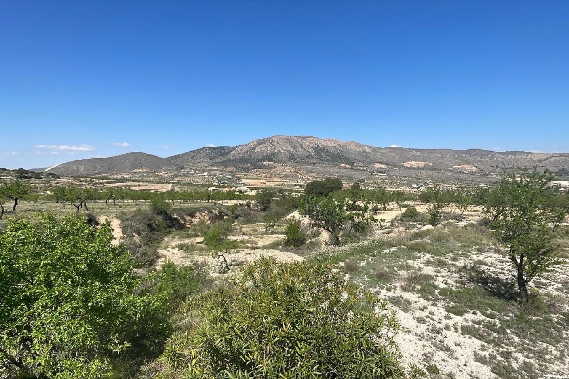 Venta - Chalet Independiente -
La Romana