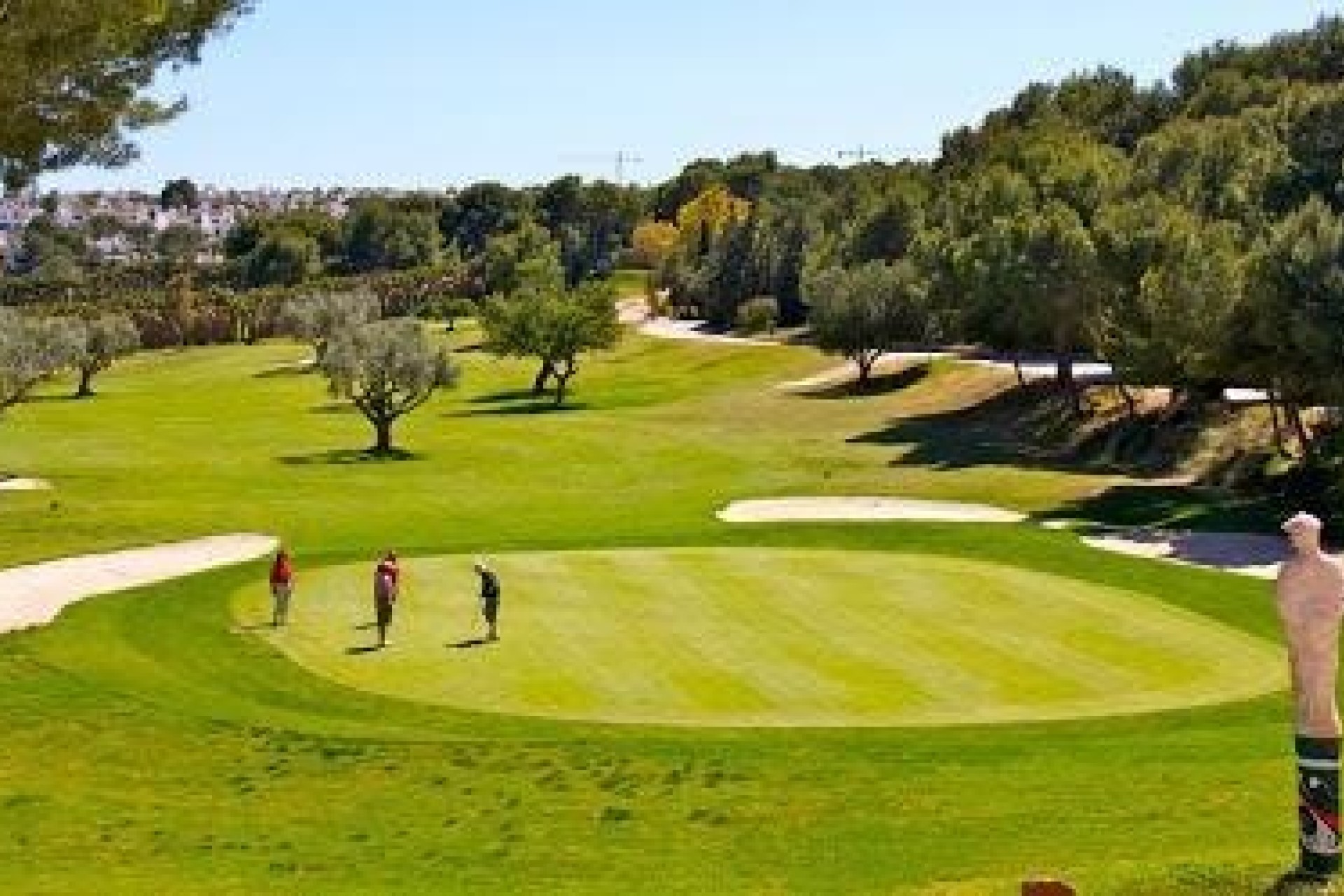Venta - Chalet Independiente -
Los Montesinos
