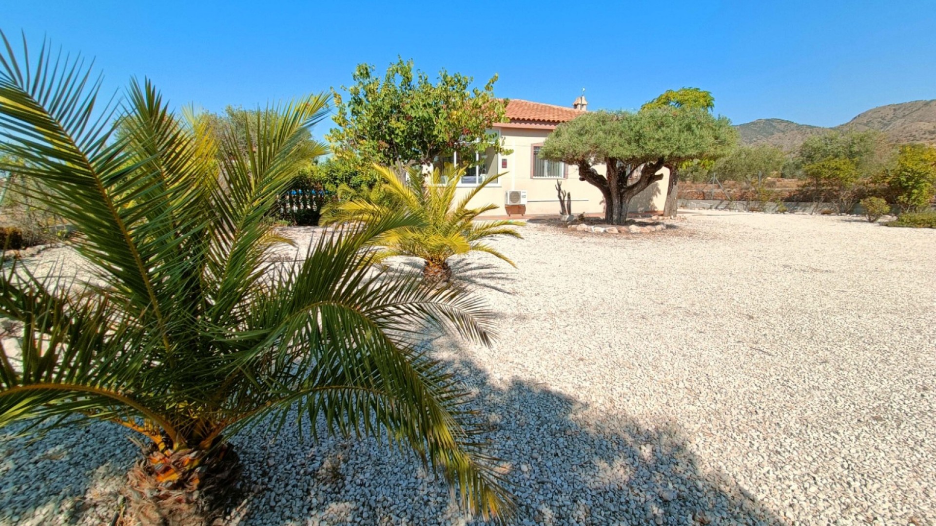 Venta - Chalet Independiente -
Macisvenda