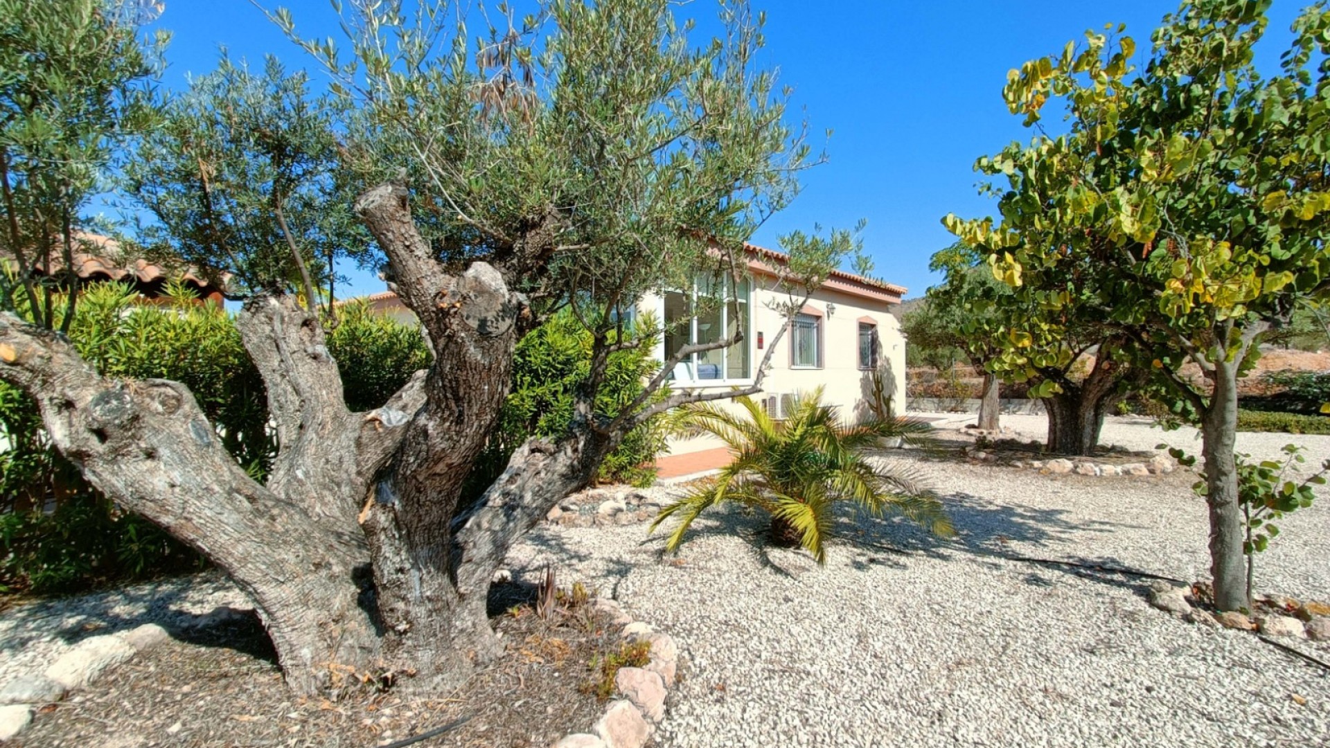 Venta - Chalet Independiente -
Macisvenda