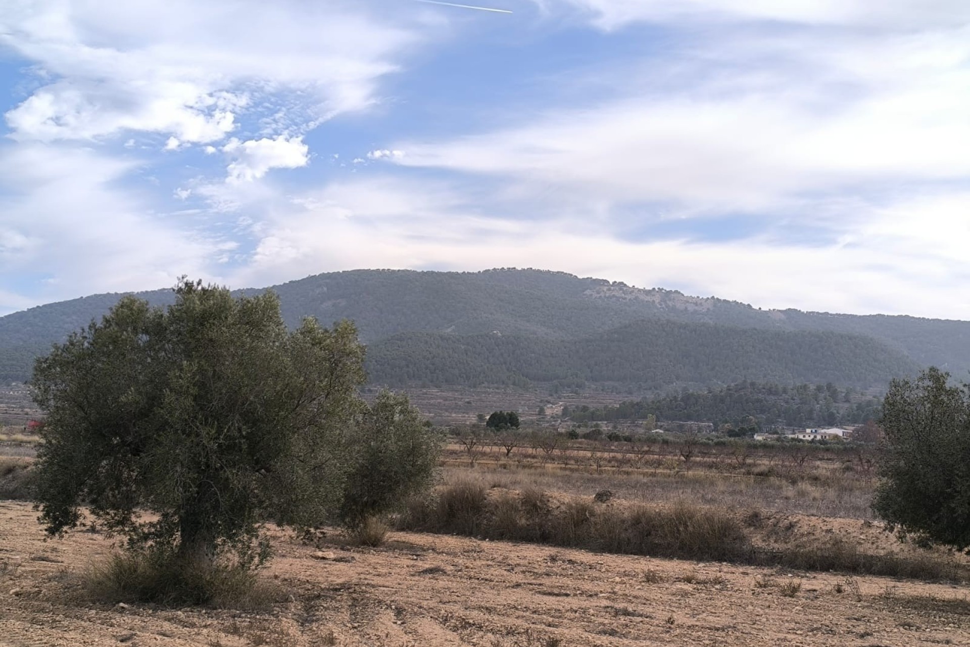 Venta - Chalet Independiente -
Monóvar - Inland