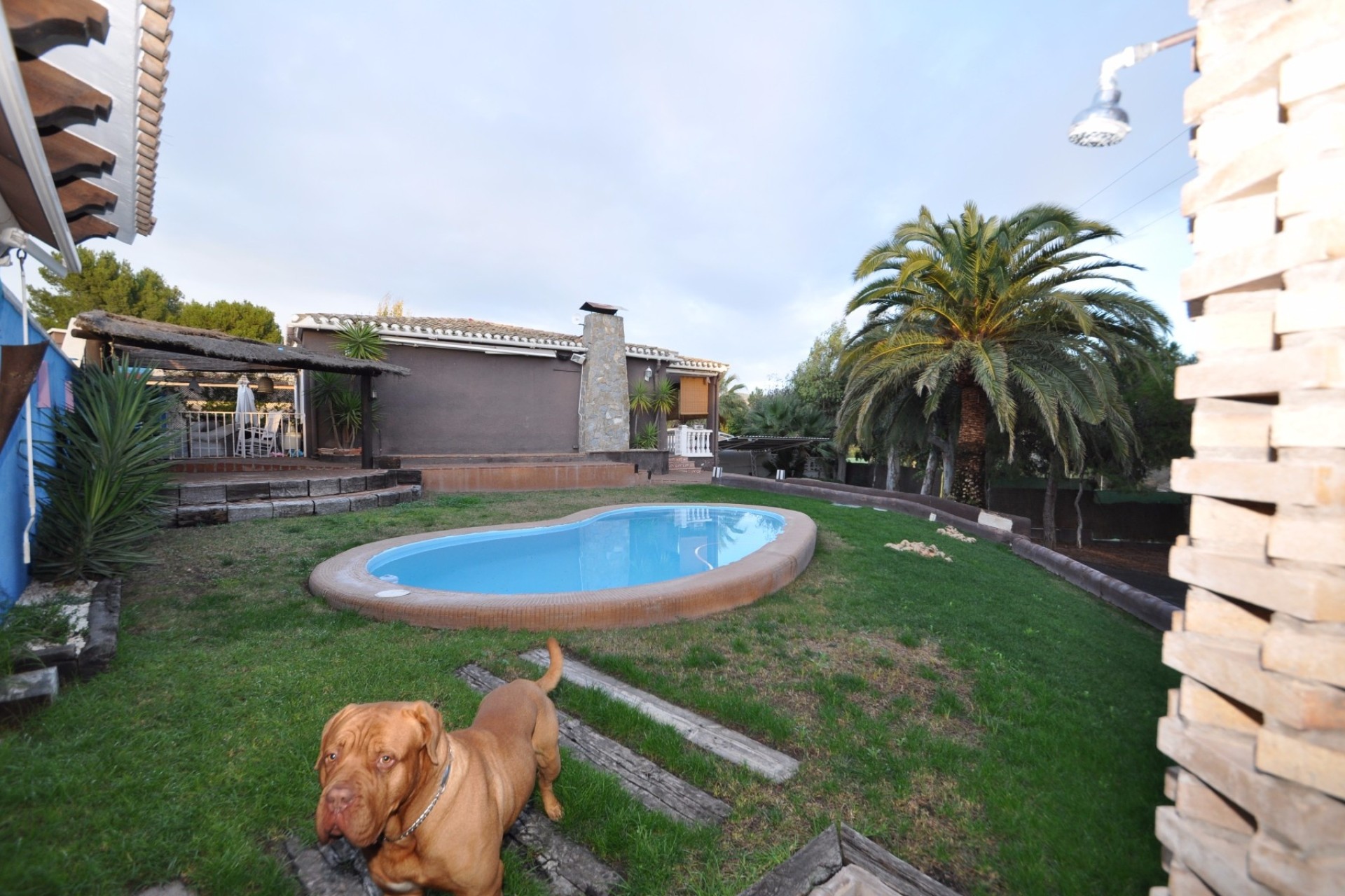Venta - Chalet Independiente -
Monóvar/Monóver - Inland