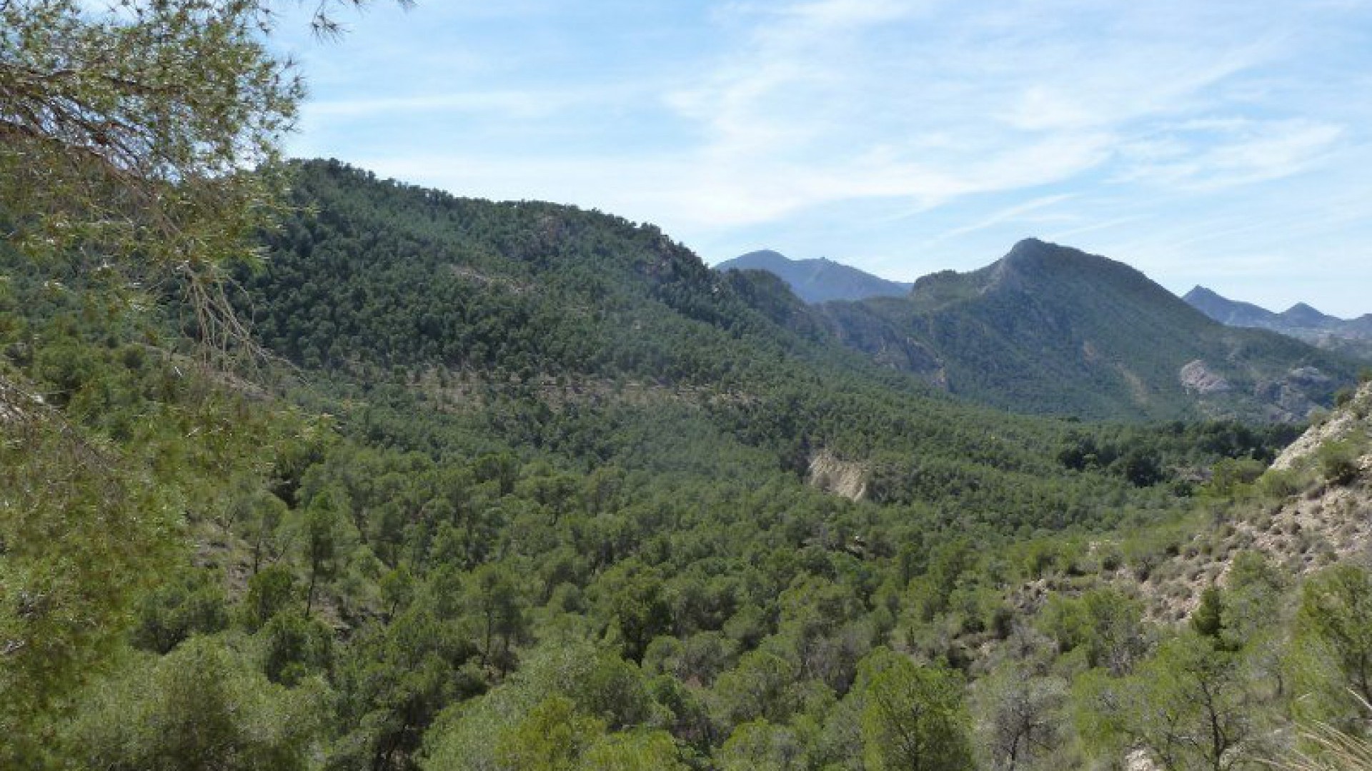 Venta - Chalet Independiente -
Murcia