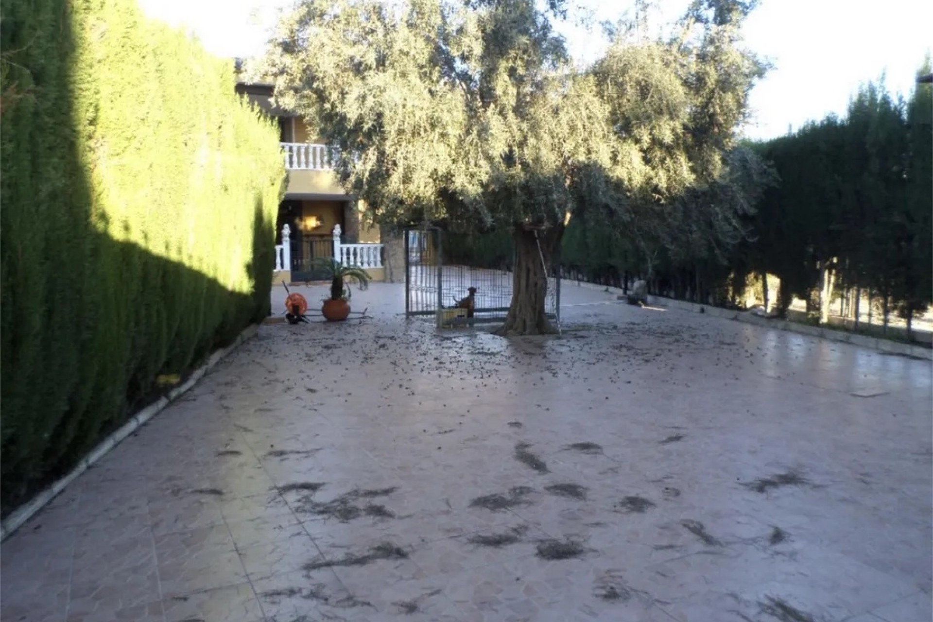 Venta - Chalet Independiente -
Orihuela - CAMPO