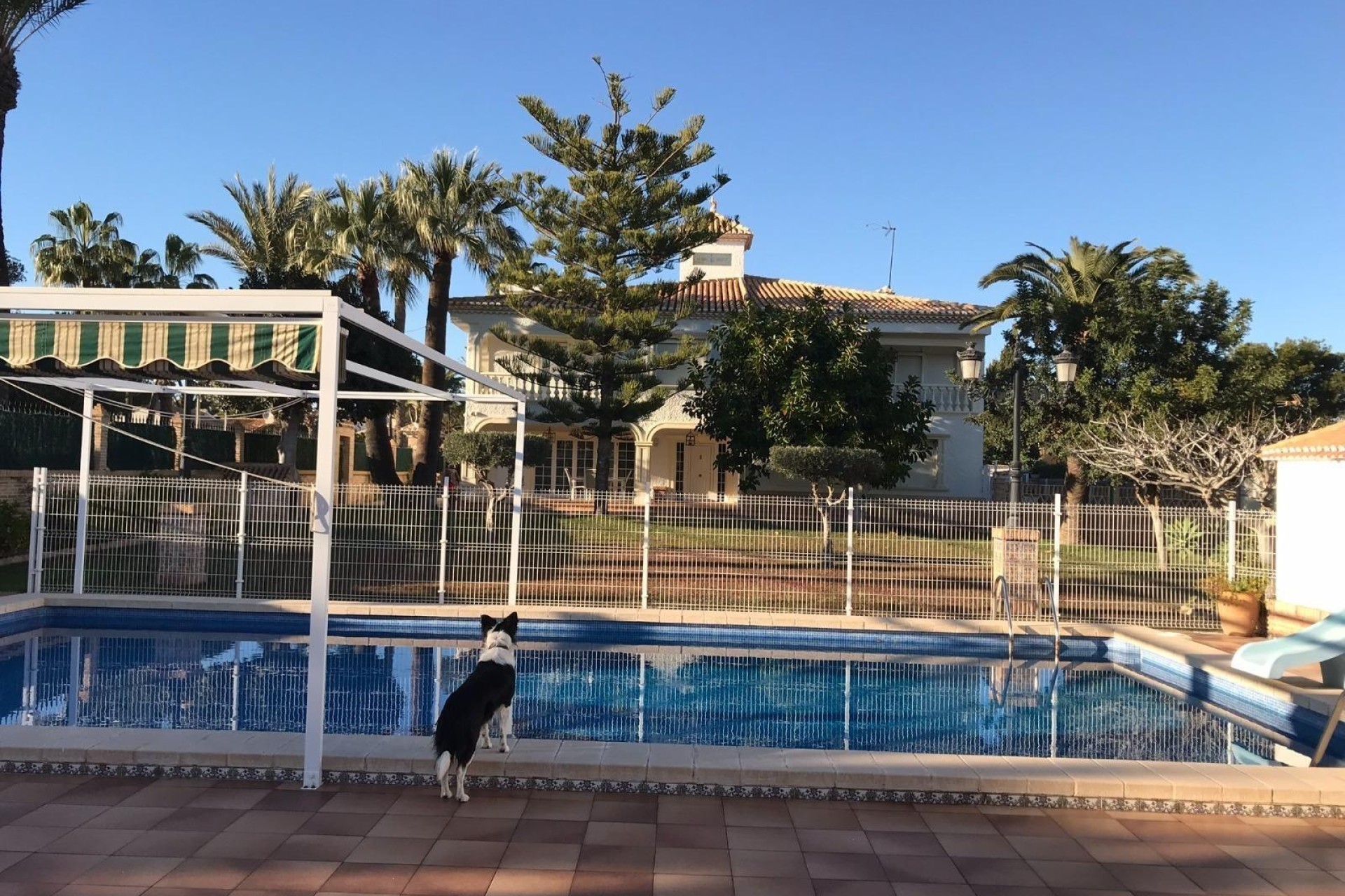 Venta - Chalet Independiente -
Orihuela Costa - Cabo Roig