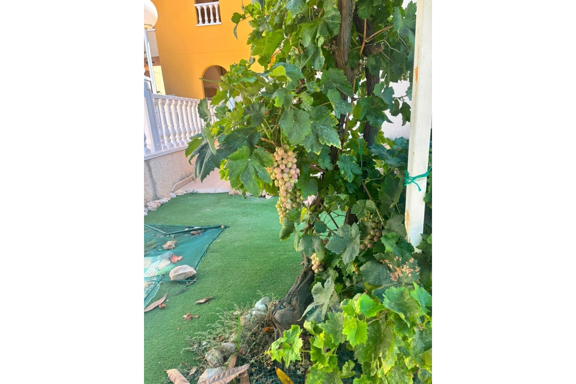 Venta - Chalet Independiente -
Orihuela Costa - Lomas de Cabo Roig