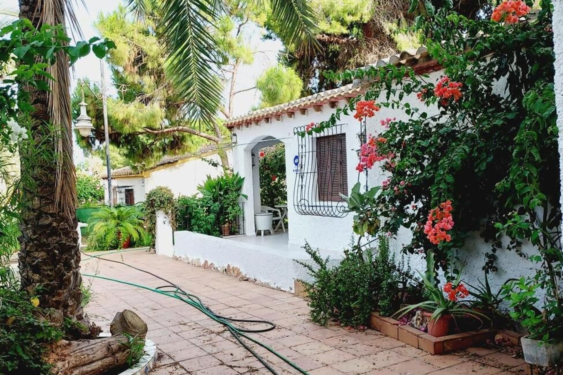 Venta - Chalet Independiente -
Orihuela Costa - Punta Prima