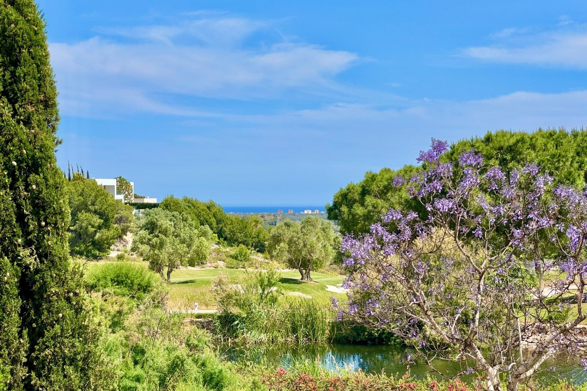 Venta - Chalet Independiente -
Orihuela - Las Colinas Golf