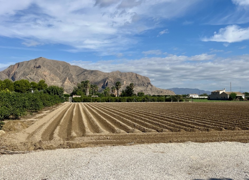 Venta - Chalet Independiente -
Orihuela