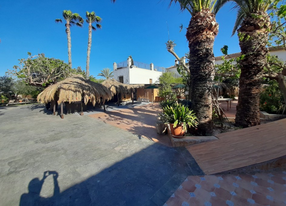 Venta - Chalet Independiente -
Orihuela