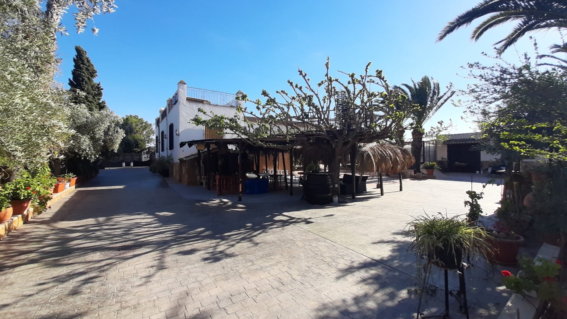 Venta - Chalet Independiente -
Orihuela
